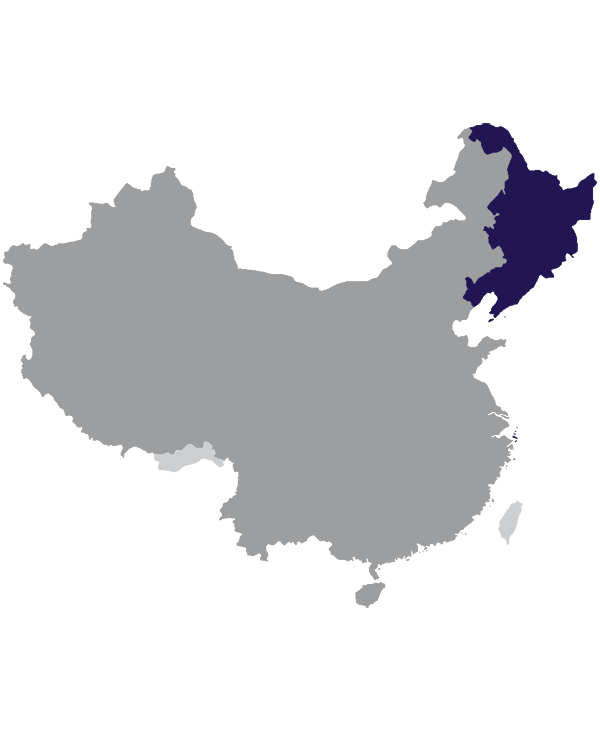 Landkaart China grijs met regio Noordoost-China donkerblauw op transparante achtergrond - 600 * 733 pixels